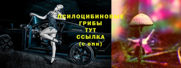 мяу мяу мука Бородино