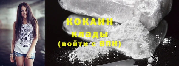 мяу мяу мука Бородино