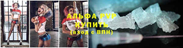 мяу мяу мука Бородино