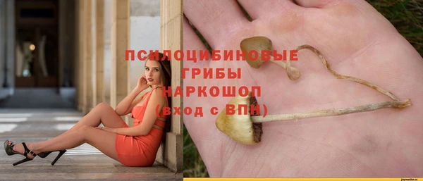 мяу мяу мука Бородино