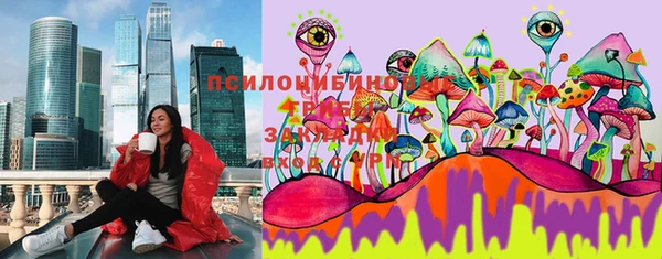 ECSTASY Бугульма