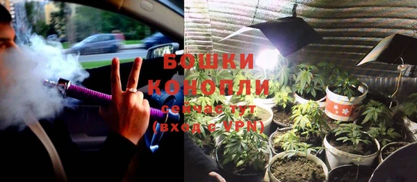 мяу мяу мука Бородино