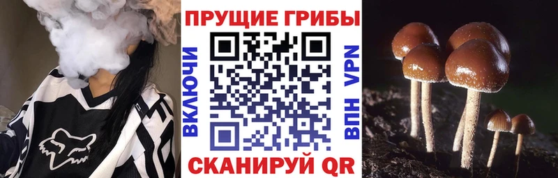 Галлюциногенные грибы Magic Shrooms  Калачинск 
